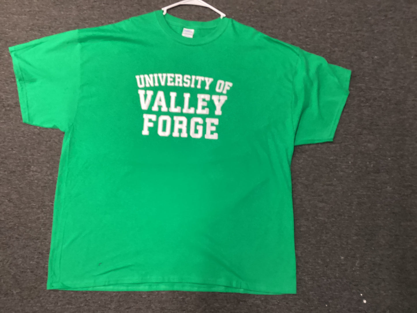 University of Valley Forge